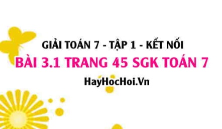 Giải bài 3.1 trang 45 Toán 7 Tập 1 SGK Kết nối tri thức